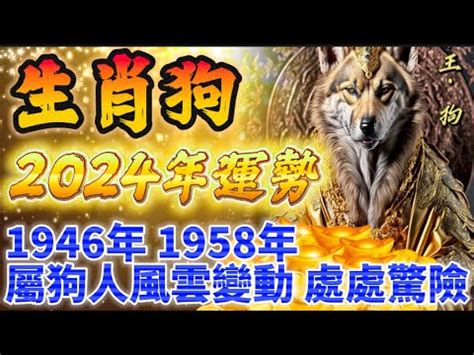 屬狗 五行|【狗五行屬什麼】揭曉生肖狗五行之謎：屬狗五行屬什麼？影響性。